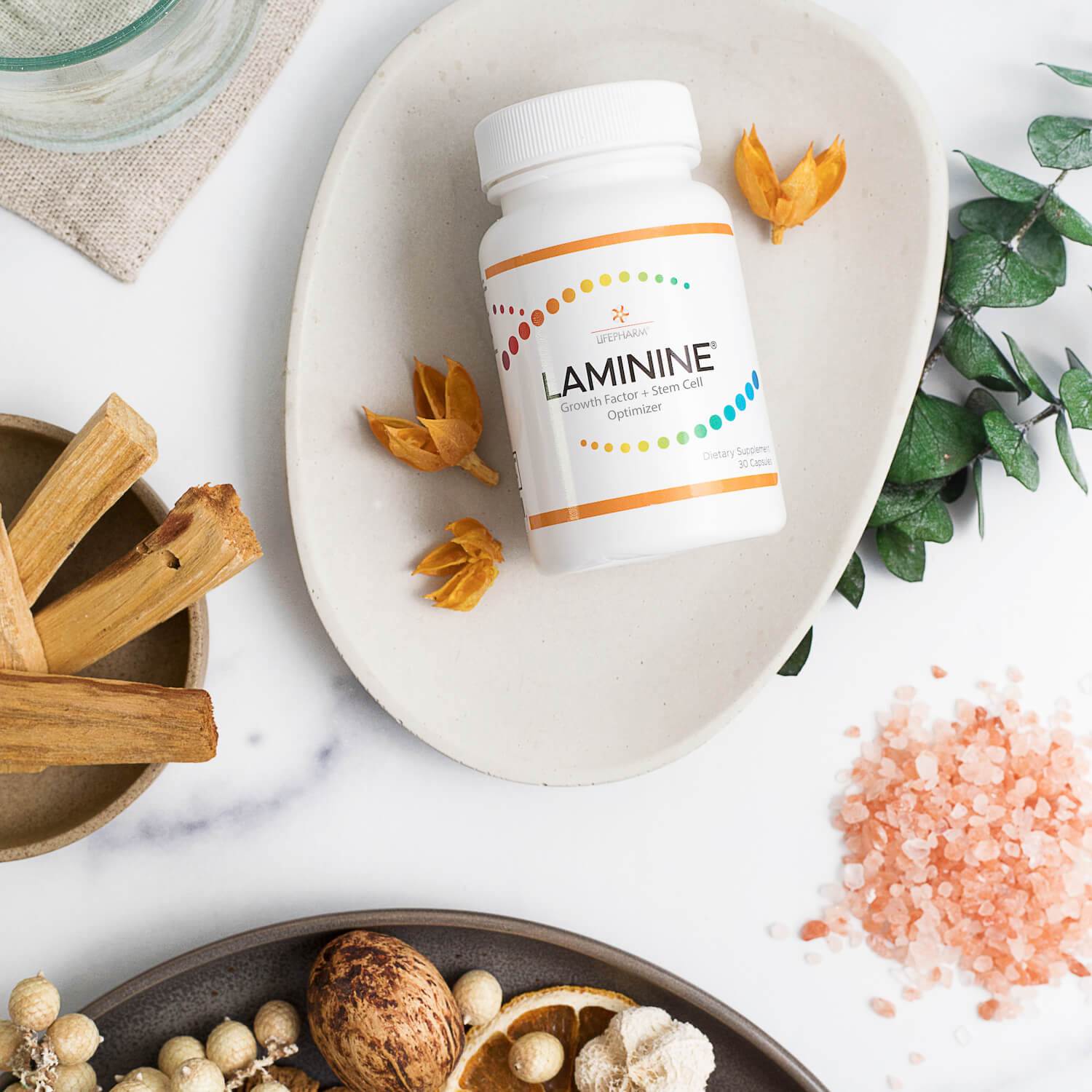 LAMININE supplement bottle with FGF-2 fertilized egg extract, marine & plant protein for stem cell activation and healthy aging